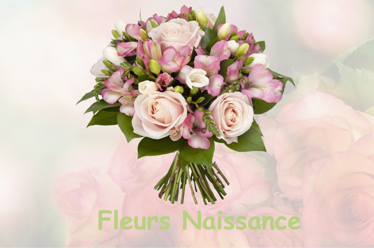 fleurs naissance SAINTE-MARIE-LAUMONT