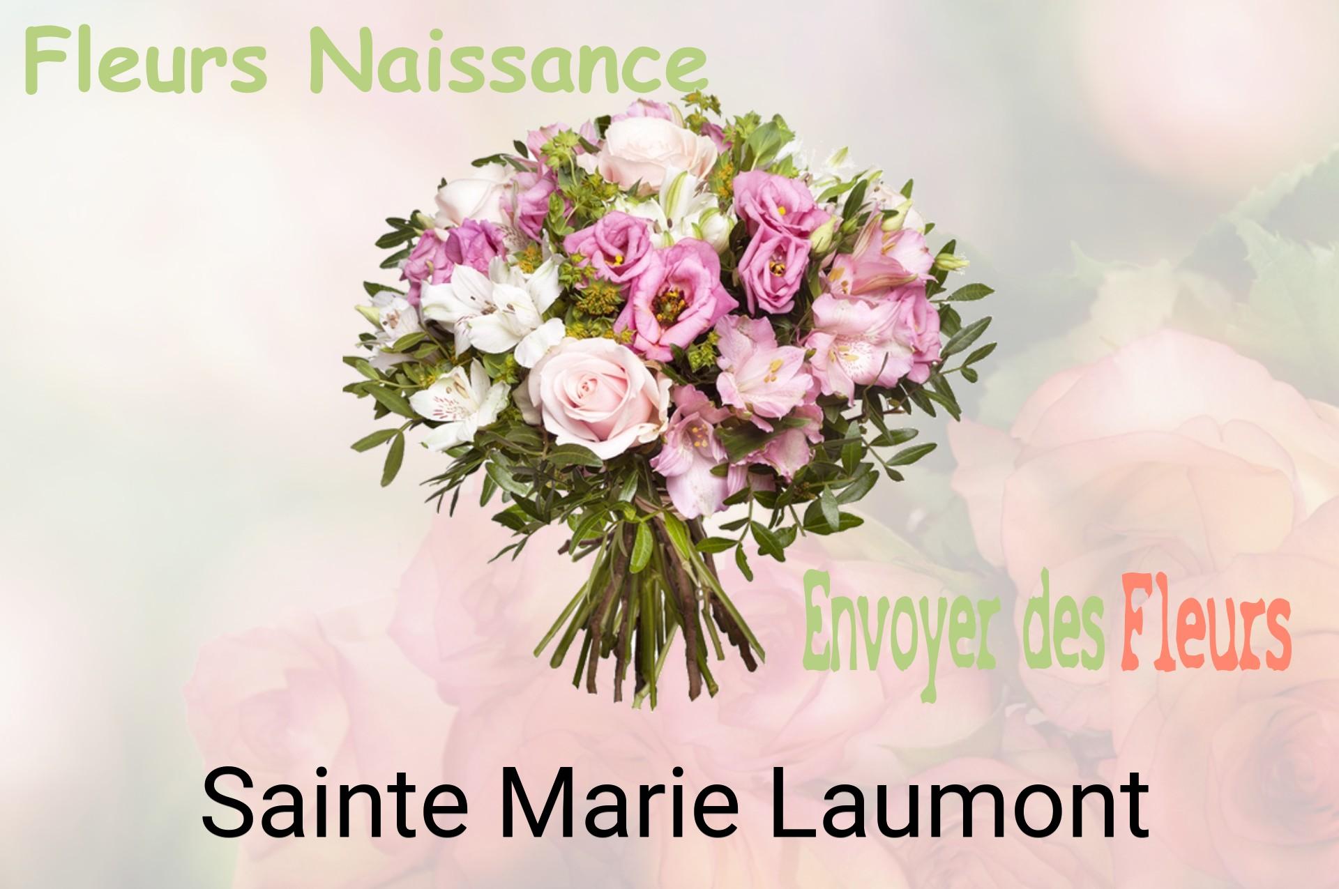 Bouquet de fleurs de naissance livré à Sainte-Marie-Laumont